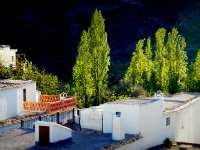 17103553816 038d05f454 o05 copia  7